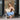 Mayorca straw and leather tote handbag